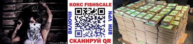 где купить Завитинск блэк спрут ссылка Cocaine Эквадор
