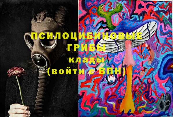 СК Алексеевка