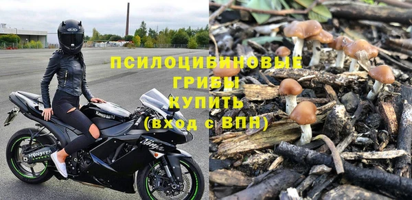 бошки Алзамай