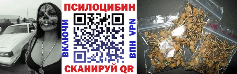 Псилоцибиновые грибы мухоморы  Завитинск 