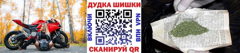 Бошки Шишки White Widow  Завитинск 